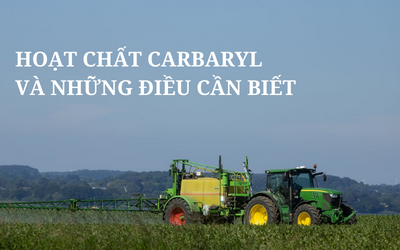 Hoạt chất Carbaryl